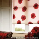 Business 8 image JDS WINDOW BLINDS LTD. Shutters in Blantyre La