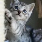 Business 6 image JERWOOD GALLERY LTD Art Galleries in Hastings Ea