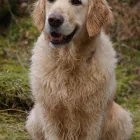 Business 3 image JERWOOD GALLERY LTD Art Galleries in Hastings Ea