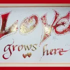 Business 12 image JOHNSTON & FARRELL Vets in Tain Ro