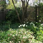 Business 1 image JULIA SMITH GARDENING Garden Designers in Cheltenham Gl
