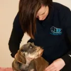 Business 3 image K9 REHABILITATION Reflexologists in Bicester Ox