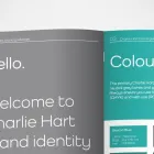 Business 3 image KABO CREATIVE Web Design in Hilton De