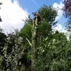 Business 3 image KAN KEE CO.LTD Property Development in New Malden Su