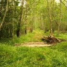 Business 1 image KAN KEE CO.LTD Property Development in New Malden Su