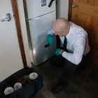Business 2 image KESTREL PEST MANAGEMENT Pest & Animal Control in Doncaster So