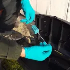 Business 4 image KESTREL PEST MANAGEMENT Pest & Animal Control in Doncaster So