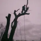 Business 7 image KFC Fast Food Restaurants in Bridgend Mi