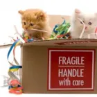 Business 5 image KINGSTON UPON THAMES REMOVALS Warehousing & Storage in Kingston Upon Thames Su