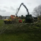 Business 1 image KOKORO TREE Tree Surgeons in Chorley La