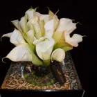 Business 10 image L & B BAIRD LTD Florists in Glasgow La