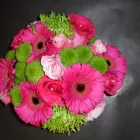Business 11 image L & B BAIRD LTD Florists in Glasgow La