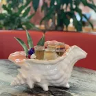 Business 5 image LAS IGUANAS WATFORD Tapas Restaurants in Watford He