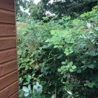 Business 7 image LAWN & GARDENS LTD Landscapers in Birmingham We