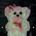 Business 6 image LAWRIE JANE'S DESIGNER FLORIST Shopping & Retail in Bootle Me