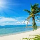 Business 20 image LAYLA'S TRAVELS Travel Agents in London Gr