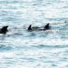 Business 2 image LE PAIN QUOTIDIEN Bakeries in London Gr