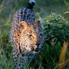 Business 5 image LE PAIN QUOTIDIEN Bakeries in London Gr