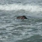 Business 6 image LE PAIN QUOTIDIEN Bakeries in London Gr