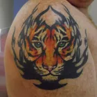 Business 7 image LEAF HAIR & BEAUTY Hairdressers in Mansfield No