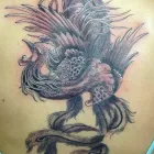 Business 3 image LEAF HAIR & BEAUTY Hairdressers in Mansfield No