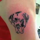 Business 4 image LEAF HAIR & BEAUTY Hairdressers in Mansfield No