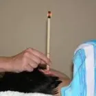 Business 14 image LEAMINGTON THERAPY CENTRE Sports Therapists in LEAMINGTON SPA Wa