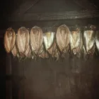 Business 8 image LEON STOKES PLUMBING HEATING & GAS SERVICES Plumbers in Coventry We