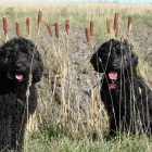 Business 3 image LES CAVES DE PYRENE LTD Wine in Guildford Su