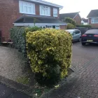 Business 91 image LEVEL CONSTRUCTION ESSEX LTD Paving & Driveway Contractors in Romford Gr