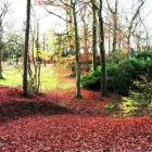 Business 7 image LLOYD WILLACY Tv in Manchester La