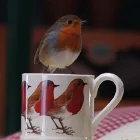 Business 7 image LLOYDS BANK Banks & Financial Institutions in Coventry We