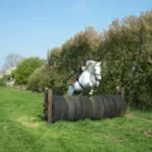 Business 6 image LODGE FARM LIVERIES Stables in Rushden No