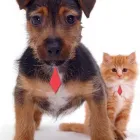 Business 9 image LONDIS Grocers & Convenience Stores in Coventry We