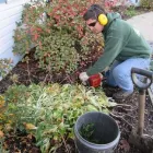 Business 3 image LONDON GARDEN SERVICES Landscapers in London Gr