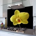 Business 14 image LONDON SPLASHBACKS Kitchen Furniture Suppliers in London Gr