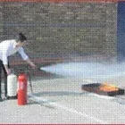 Business 3 image LOVE EM & LEAVE EM! Dog Walking in Wigan La