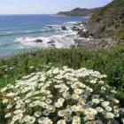 Business 16 image M J MILLER & CO Accountants in Wigan La