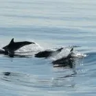 Business 17 image M J MILLER & CO Accountants in Wigan La