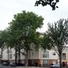 Business 2 image MAGIC CARPET CLEANING Upholstery Cleaners in London Gr