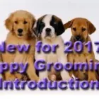 Business 2 image MALYS CUTS FOR MUTTS Pets & Animals in Swindon Wi