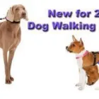 Business 3 image MALYS CUTS FOR MUTTS Pets & Animals in Swindon Wi