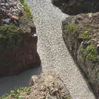 Business 6 image MANNEQUIN MUTTS Dog & Cat Grooming in Birkenhead Me