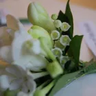 Business 2 image MANOR FARM NORTH CHERITON PARTNERSHIP Farmers in Templecombe So