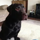 Business 1 image MAPPERLEY PROPERTY MANAGEMENT LTD Property Management in Nottingham No