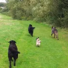 Business 1 image MARGIOTTA Grocers & Convenience Stores in Edinburgh Mi
