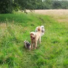 Business 2 image MARGIOTTA Grocers & Convenience Stores in Edinburgh Mi