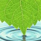 Business 1 image MARK SOWTER HEATING & PLUMBING SERVICES Plumbers in Stockport Ch