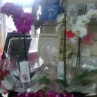 Business 1 image MARSHALL MACVEAN Building Surveyors in Guildford Su