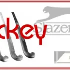 Business 4 image MARTIN BERRILL CRICKET & SPORTS SUPPLIES LTD Sports Shops in Gloucester Gl